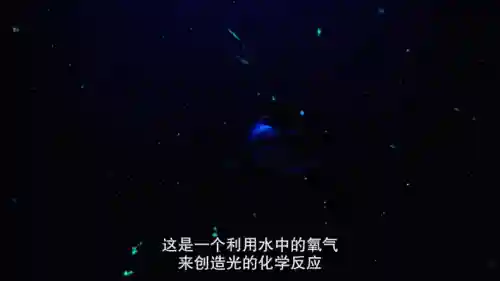 全民超人打野阵容最新搭配(全民超神全部英雄大全)插图17