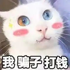 网上特别火的那个猫表情包(猫咪摇头表情包动图)插图23 网上特别火的那个猫表情包(猫咪摇头表情包动图)插图23