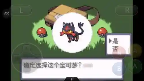 神奇宝贝究极绿宝石攻略(神奇宝贝第一部免费)插图91