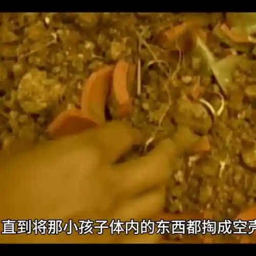 死亡笔记戒指推荐阵容搭配(圣树之光阵容搭配攻略)插图5