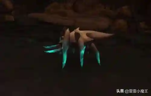 魔兽世界宠物推荐(wow70猎人必抓五只宠物)插图12