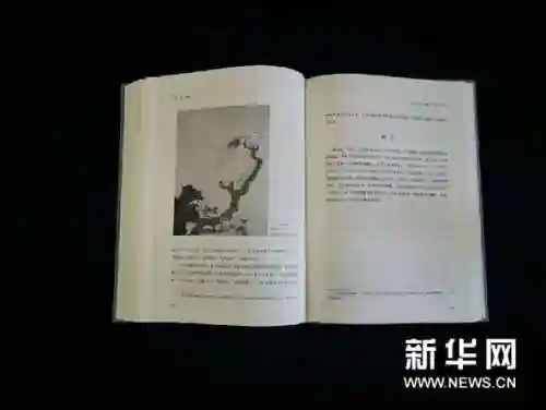 首无源博雅阵容搭配(圣地争锋4套阵容推荐)插图5