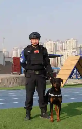 女王号令米拉阵容搭配(剑与远征雪米拉最强阵容)插图1 女王号令米拉阵容搭配(剑与远征雪米拉最强阵容)插图1