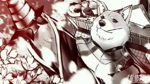 地藏犬神搭配阵容(阴阳师地藏天照阵容搭配)插图1