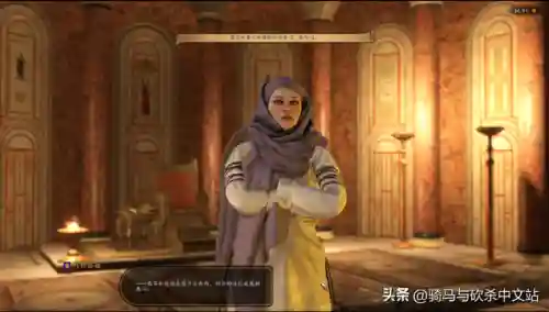 骑马与砍杀新阵容搭配(骑马与砍杀战团伙伴最佳搭配)插图11