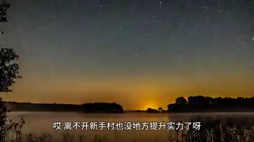 克制狼王的阵容搭配(狼的克星)插图1