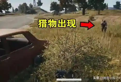 绝地求生钓鱼阵容搭配表(绝地求生笑容在哪个队)插图4