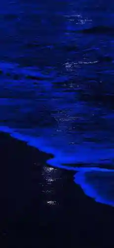 手机背景壁纸(2024手机桌面壁纸)插图23
