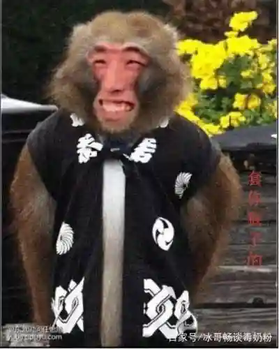 魔战猴子阵容怎么搭配(终是猴子入了魔)插图2