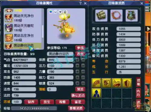175普陀山搭配阵容(175普陀单加敏还是体敏好)插图15
