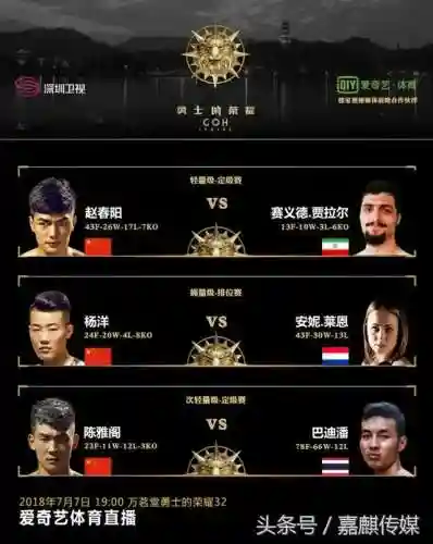 荣耀军团阵容搭配图表高清(荣耀舰队阵容搭配攻略)插图1