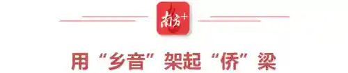 圣狮炊最强阵容搭配(卡牌仙圣奇缘最强阵容)插图8