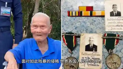 世界大战2游戏(以二战为背景的单机游戏)插图1