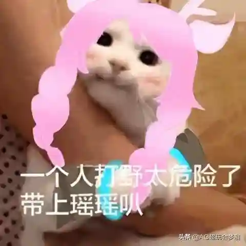 瑶的五排阵容搭配(瑶属于哪个阵营)
