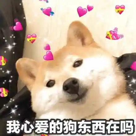 逗人开心又撩人表情包(逗女生开心的搞笑图片)插图30