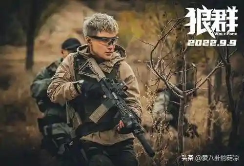 狼群演员阵容搭配图表(tushy的演员图表)插图5