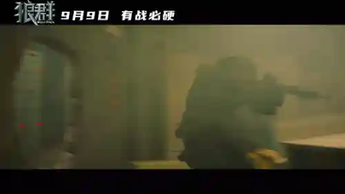 狼群演员阵容搭配图表(tushy的演员图表)插图7