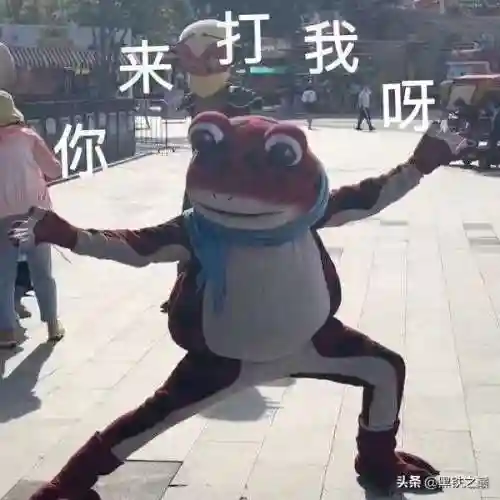 星界法龙阵容搭配(云上城之歌法师宠物星阵怎么搭配)插图1