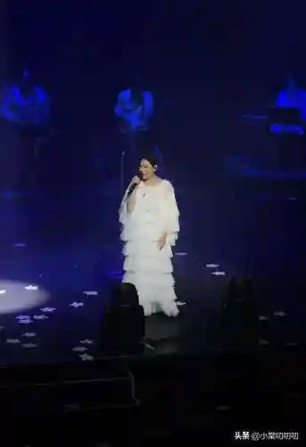 刘若英伦敦演唱会(刘若英还会开演唱会吗)插图1