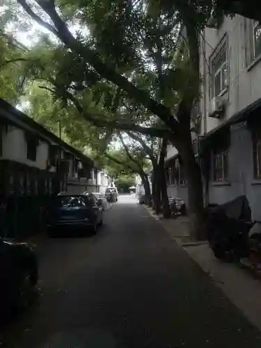 食物语胡同访古阵容搭配(食物语平民推图最强阵容)插图18
