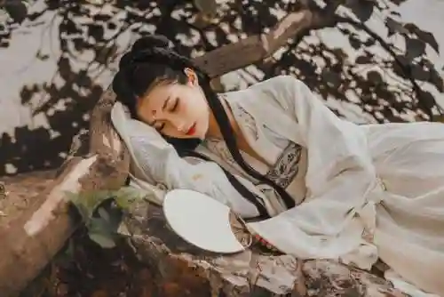 女配修仙-素衣仙路(重生素女修仙)