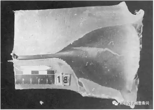 神物45开阵容搭配图片(藏武最强阵容搭配攻略)插图5