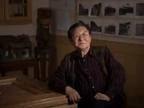 全明星灵光阵容怎么搭配(植物大战僵尸全明星最合适的阵容)插图19