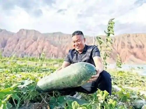 中国黑枪最多的地方(最狠的防身武器)插图8