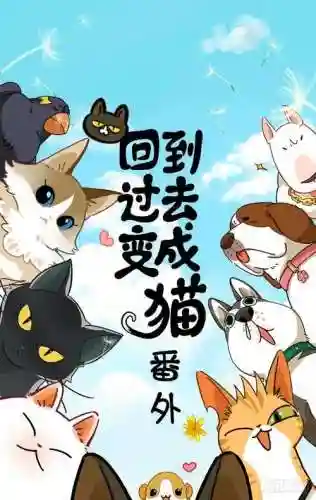 超能世界猫咪阵容搭配攻略(超能世界平民三套阵容)插图4
