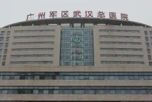 前线作战团队阵容搭配图(交错战线最强阵容推荐)插图4