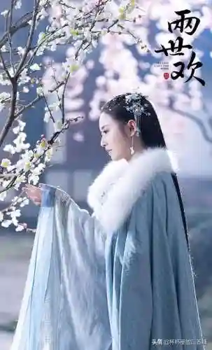 宫廷斗篷搭配阵容推荐女(宫廷计后期尚药最强阵容)插图25
