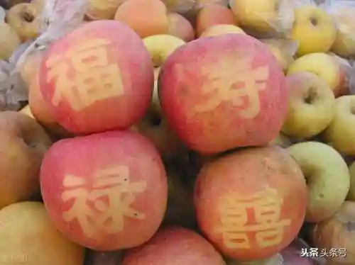 单人混海阵容搭配攻略(深海王阵容平民搭配)