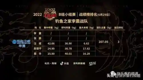 王者之战钓鱼阵容最新搭配(王者征途最佳组合阵容推荐)插图3