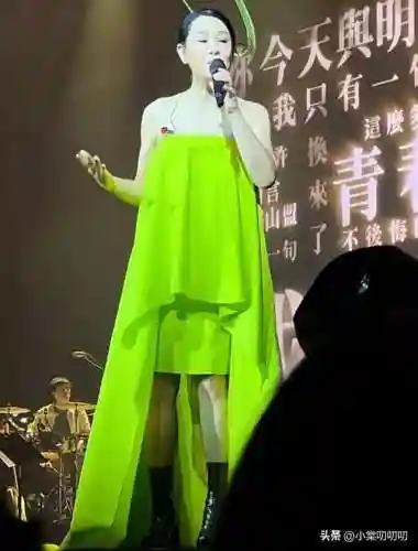 刘若英伦敦演唱会(刘若英还会开演唱会吗)插图2