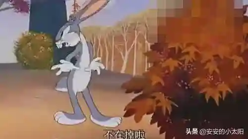 横冲直撞的意思(形容一个人横冲直撞)插图1 横冲直撞的意思(形容一个人横冲直撞)插图1