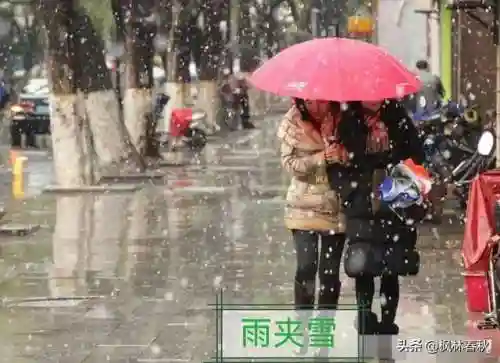 天斗大雪阵容搭配攻略(海边小斗大雪好看视频)插图4