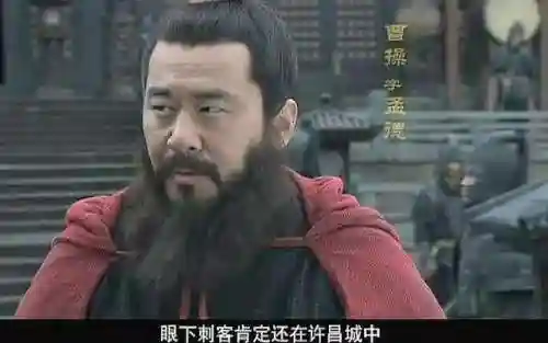 曹冲为什么只活了13岁(曹冲活了多少岁)插图3