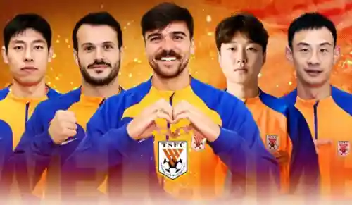 鲁能引援阵容搭配图表(鲁能两将进最佳阵容)
