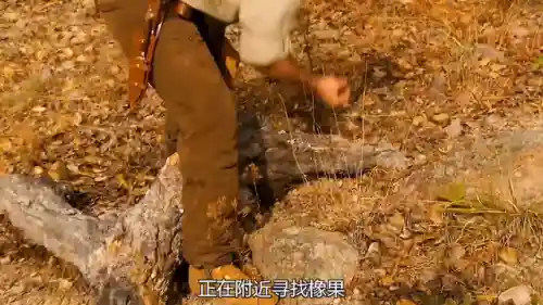猎人求生2中文无敌版(猎人的生存日记2无敌版下载)插图2
