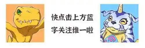 数码宝贝水系阵容搭配(数码宝贝新世纪最强搭配)