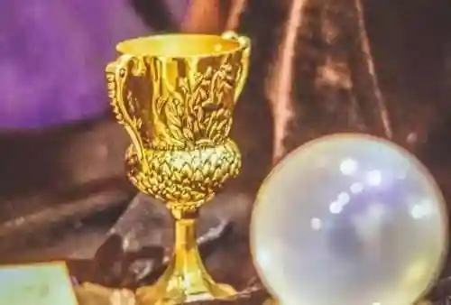 哈利波特伏地魔阵容搭配(和平精英哪些衣服搭配当伏地魔好)插图13