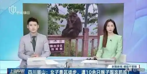 王者荣耀猴子冲突阵容搭配(王者荣耀猴子怎么出装伤害最高)插图2 王者荣耀猴子冲突阵容搭配(王者荣耀猴子怎么出装伤害最高)插图2