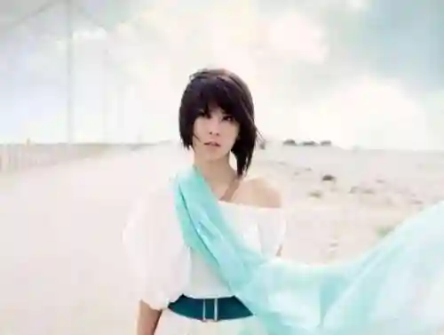 怀旧歌曲大全100首(怀旧老歌)插图58