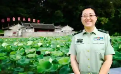 全明星灵光阵容怎么搭配(植物大战僵尸全明星最合适的阵容)插图10