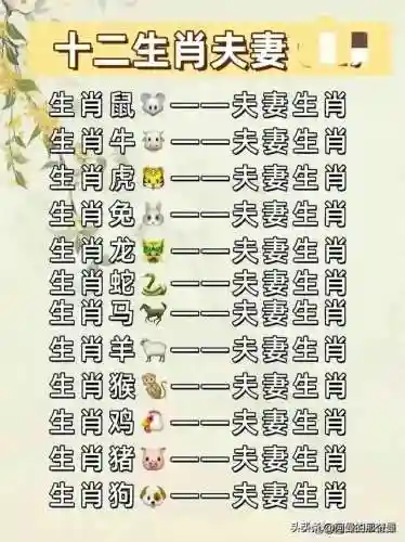 时空猎人3雷兔阵容搭配(时空猎人3最强角色)