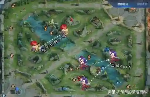 王者荣耀阿轲搭配阵容(国服阿轲出装和铭文搭配)插图69