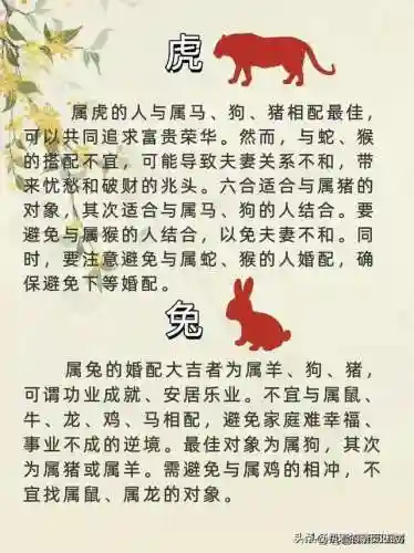 最佳好友阵容搭配图表高清(最佳阵容下载)插图5