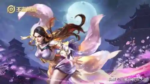 鸡年限定皮肤有哪些(蔚鸡年限定皮肤叫什么)插图7