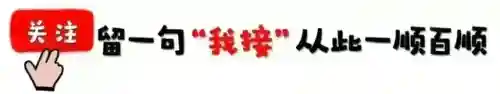 道士下山阵容搭配攻略大全(道友请留步最强阵容)