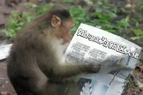 斗战神念西游礼包(斗战神从0到80要花多少钱)插图2